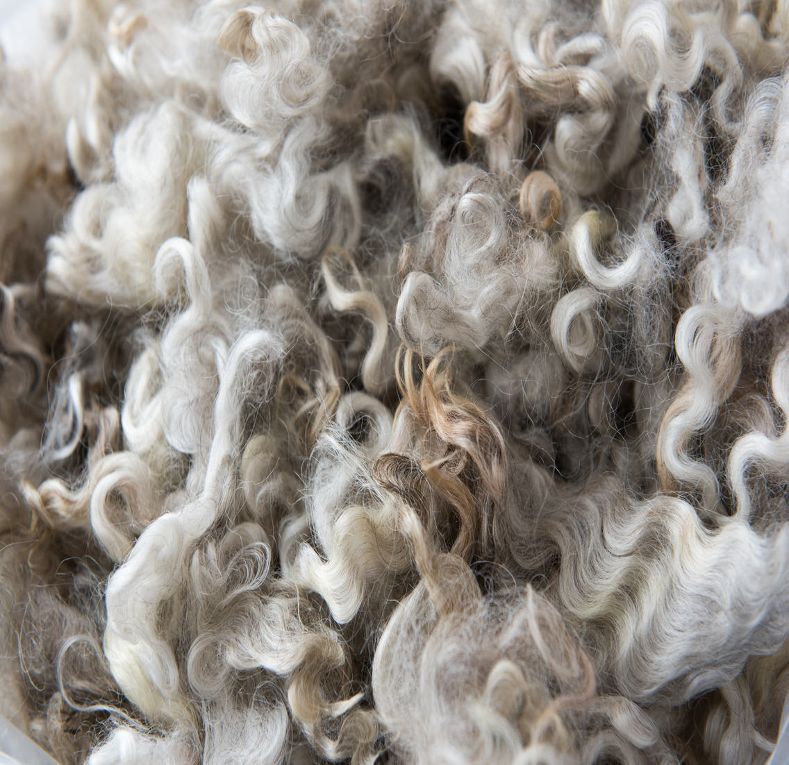 Undyed (Natural) Wool Yarn